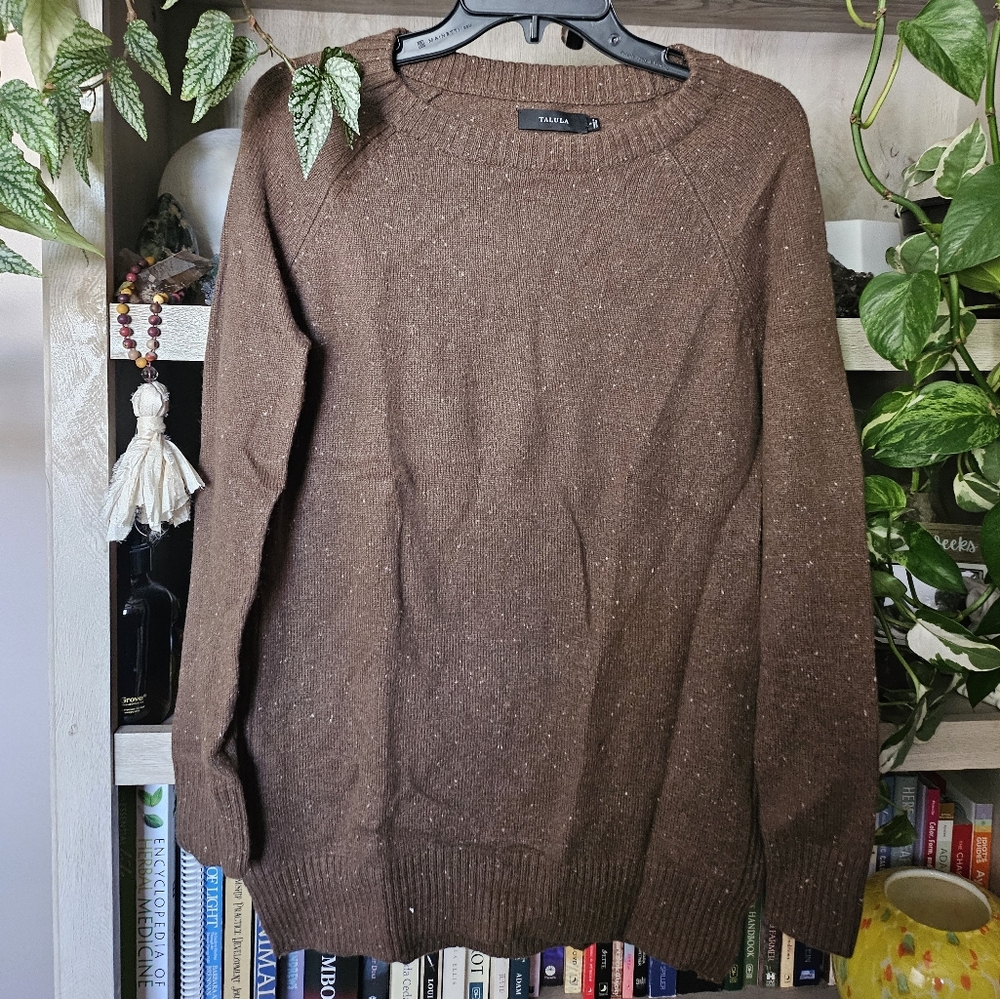 Talula Aritzia green sweater
